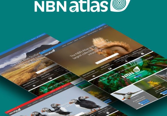 NBN Atlas