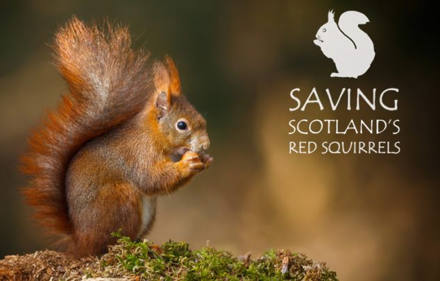 Saving Scotland's Red Squirrels